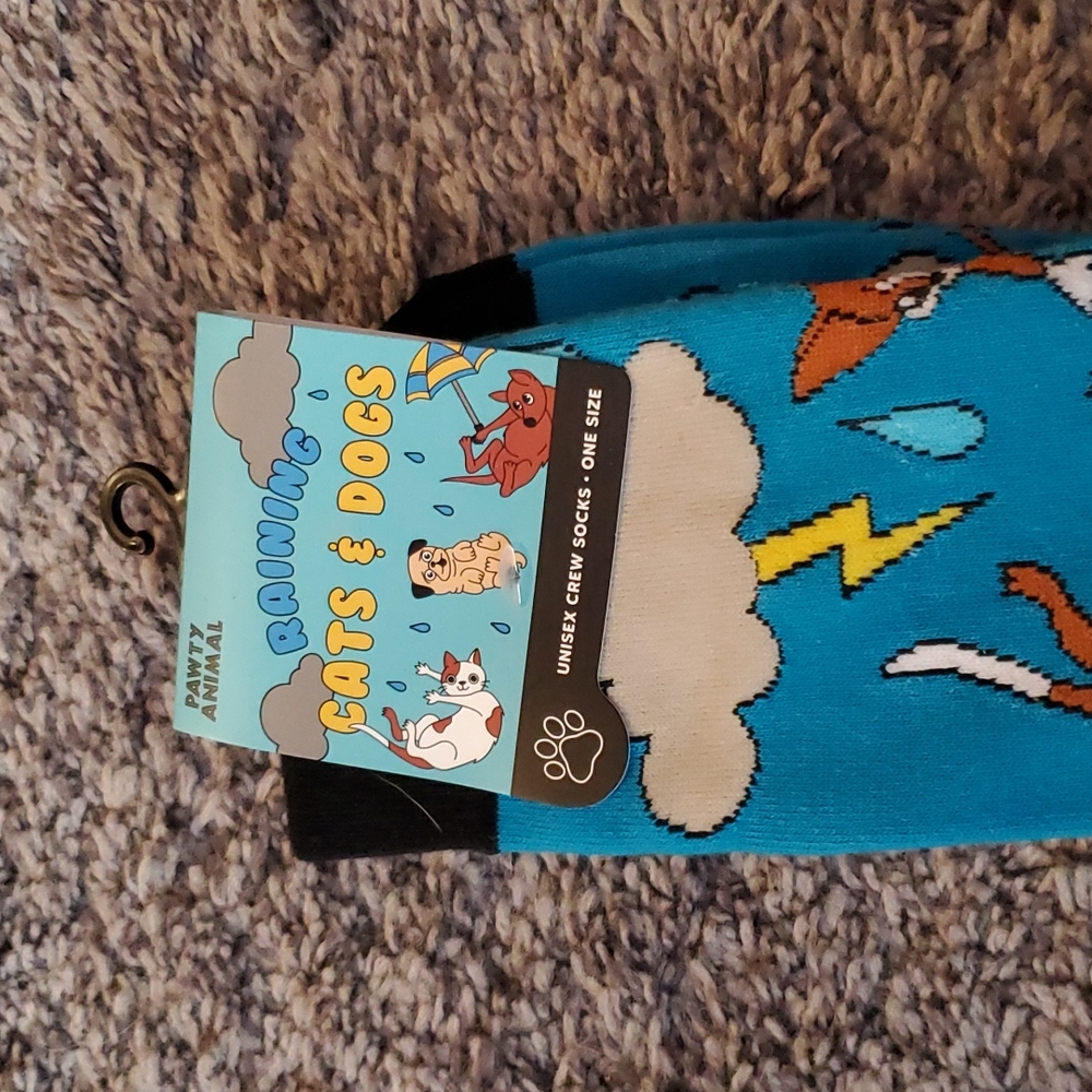 Sock Bundle - Picture 4 of 4